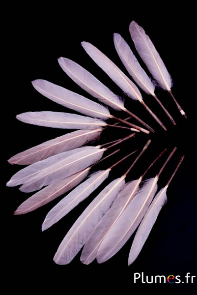 Gans Stift - 10-15 cm - beige rosa